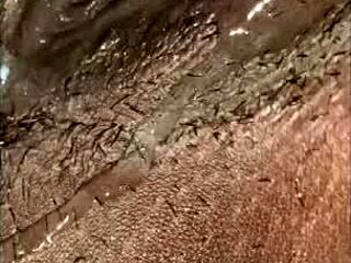 This how you fuck a ga slut!