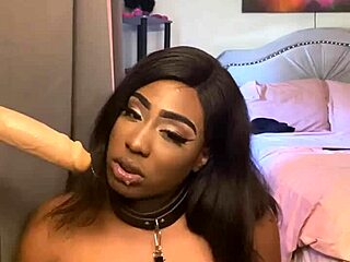 Does Lexo Butterfly suck that cock off the wall?