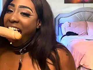 Does Lexo Butterfly suck that cock off the wall?