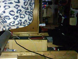 I was fucking my ex and giving her a blowjob.