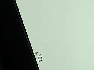 Husband and wife share intimate blowjob and fucking