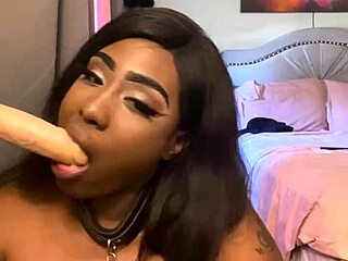 Does Lexo Butterfly suck that cock off the wall?