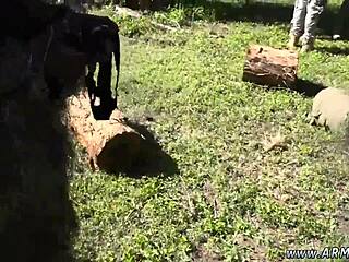 I, uh, love those brazilian naked soldiers giving military blowjobs, gay stories get me