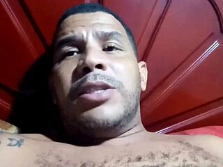 Festa Liberal Rio De Janeiro Festa Do Leo Ogro