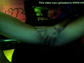 小聊天室快速连网撩骚