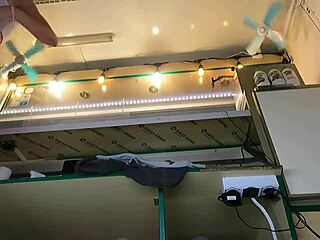 Boss removes Alice's panties at the office