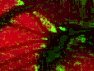 Super Rich Gloryhole Adventures In Cabins