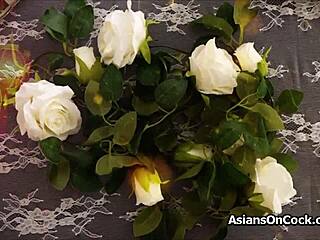 Asian Princess Handles Big Cock Tonight 😍 So Hot!