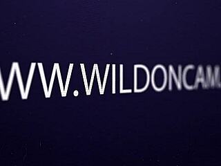 In this live sex show, lesbian babes use toys for masturbation before scissoring and 69ing