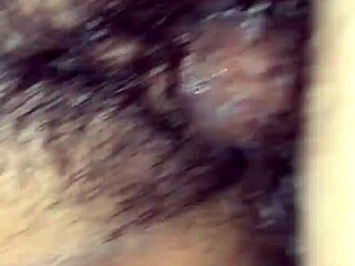 Hey, wanna watch some sneaky sex action with me?