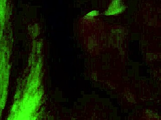 mature and teen playing naughty games with cock 😏