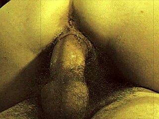 Nemůžu uvěřit, že šukám v vintage taboo stylu