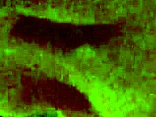 Pregnant Woman Enjoys Intimate Moments