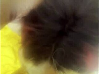 black couple pleasures each other with blowjobs and fingering!