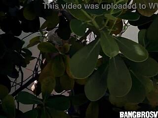 Amazing threesome with busty milfs rocking it