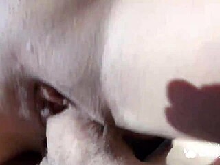 Bella Reese Gets Big Cum Load On Booty