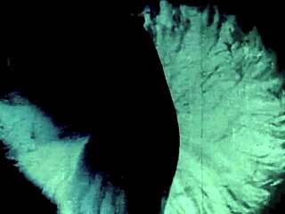 Vintage Glimpse Dark Lantern Entertainment Presents My Secret Life The 19th Century Diaries Of An English Gentleman