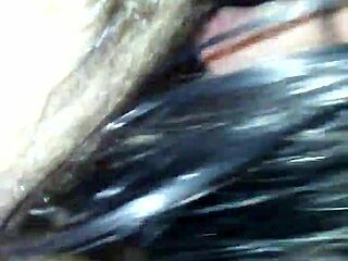 Dayzee is SUCKING my cock DEEPTHROAT style to get it HARD.