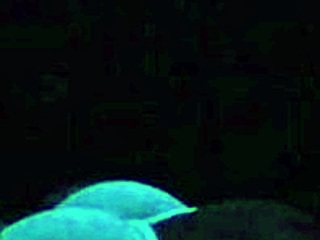 Britney Madison’s blacklight seks is bizar geil!