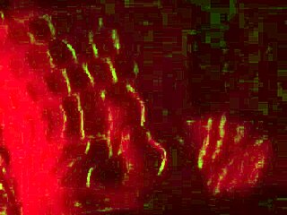 Masturbating to cum on ass shots.