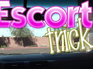 Yo, Zoe Holiday, how’s that crazy road head feel?