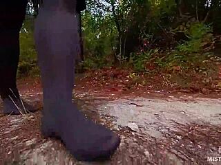 Follow My Lonely Evening Walk Through the Forest Path