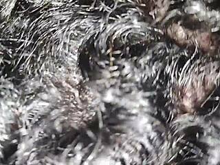 Sucking My Brother-In-Law's Delicious Cock In Detail