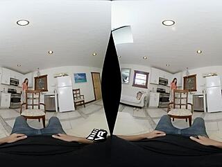 Samantha Hayes Fucks Big Cock At House Warming