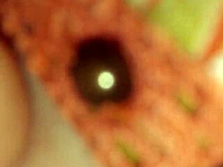 hot webcam show with rough action