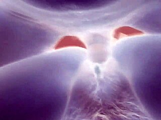 Hey, Check Out This White And Black Contrast! 😊