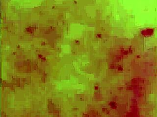 She begged, 'Bang me hard with those toys!'