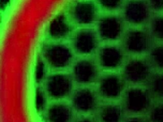 يا إلهي! فيكي فيتس وصدرها الكبير والكس الناضج يلمعان في الدش!