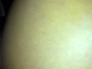 exploring shaved pussy videos on xvidos