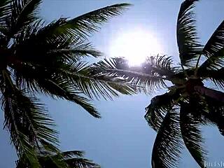 misty quinn deepthroats big cock in debut 😍