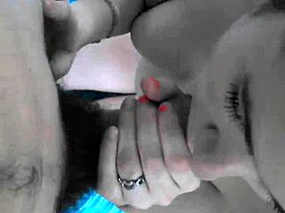 phatcat exploring in the woods with friends