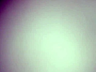 dude, check out these hot public mamadas from 2020. it’s all outdoor sexy vibes!