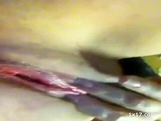 we play fun games at work with amateurs