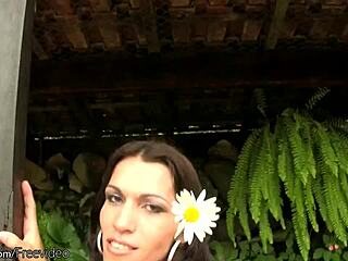 shemale temptress in thongs shows off her outfit.