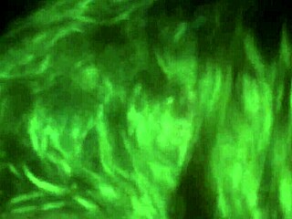 Watch This Intense Masturbation Session Right Now!