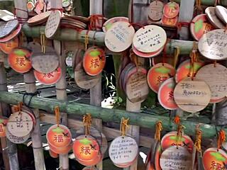 Acrobatic Performances In Hot Spring Setting
