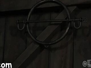 Intense blowjob action in hardcore scene.