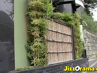 شفت مشهد جيزوراما مع آسيوية صغيرة 18+ تئن وتاخذ وجه فوضوي