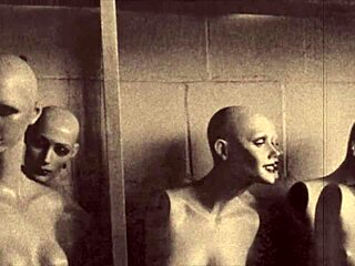 Colecție Vintage de Artă Erotică