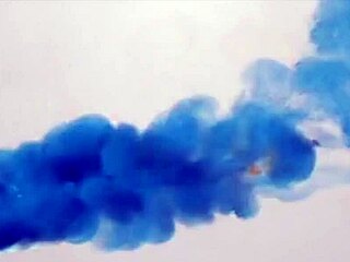 Young Girlfriend Masturbates on Sofa for Webcam