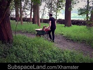 Youthful vixen ensnared and penetrated in the backyard