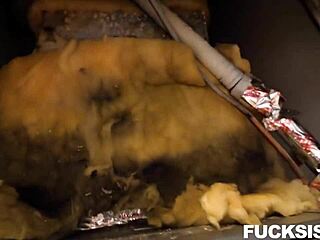 horny body heat hime marie brad newman tits blowjob reality ass teen 18+ pov