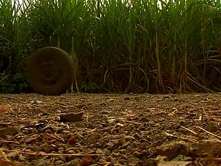 Mumbai-eskorter har det gøy med naboen