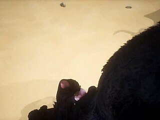 Pov Two Gay Wolves Fuck Big Asses in Wildlife