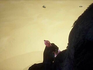 Pov Two Gay Wolves Fuck Big Asses in Wildlife