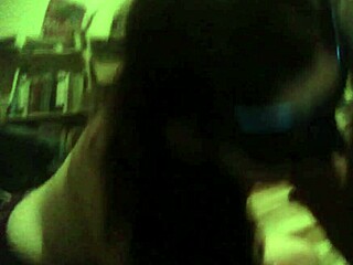 argentinian liza pet in casual home setting